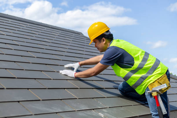 Best Roof Gutter Cleaning  in Lexington, OK